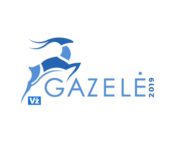 Our company got Gazelle 2019 Award!